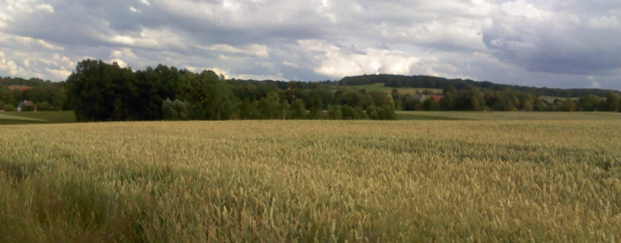 fotka 16 - Nad Strumykiem